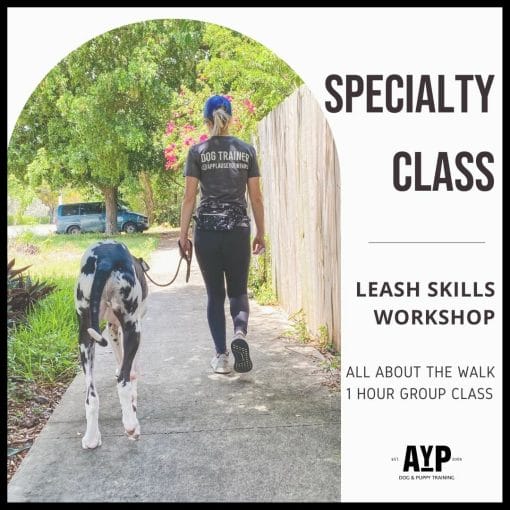 Specialty Group Class Leash Skills Workshop