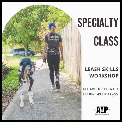 Specialty Group Class Leash Skills Workshop