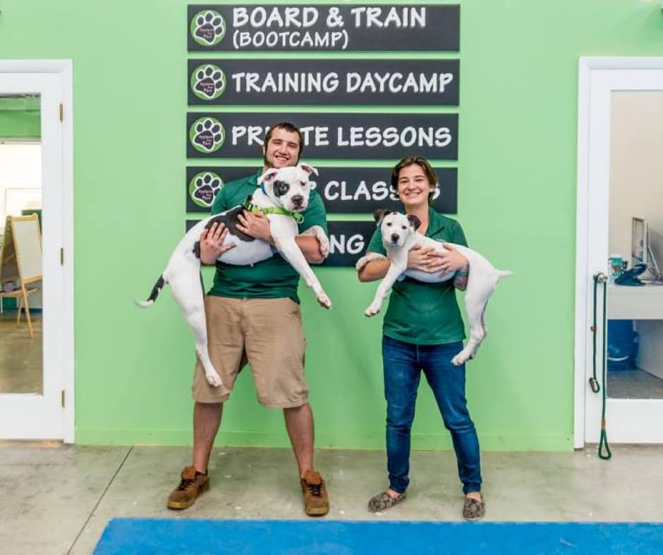 dog trainers miami famous
