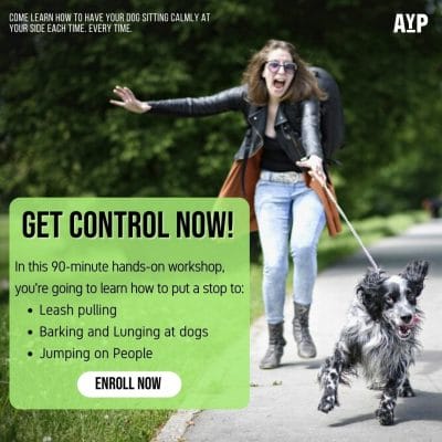 Get Control Now of your dog in this workshop