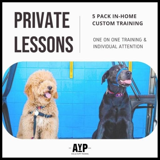5 pack of Private In Home Dog Training Lessons