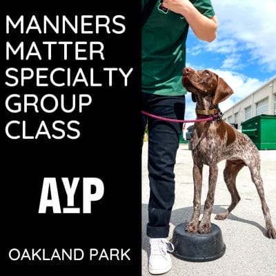 Manners Matter Specialty Group Class