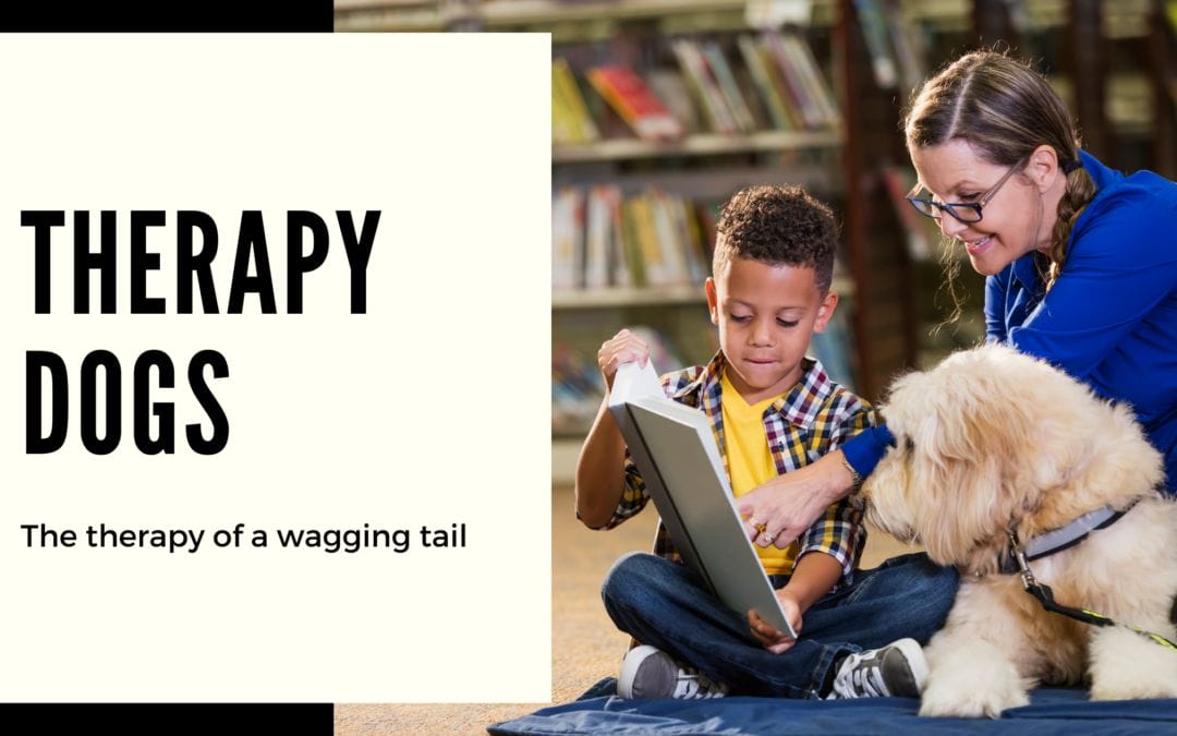 Therapy Dogs: The Therapy of a Wagging Tail