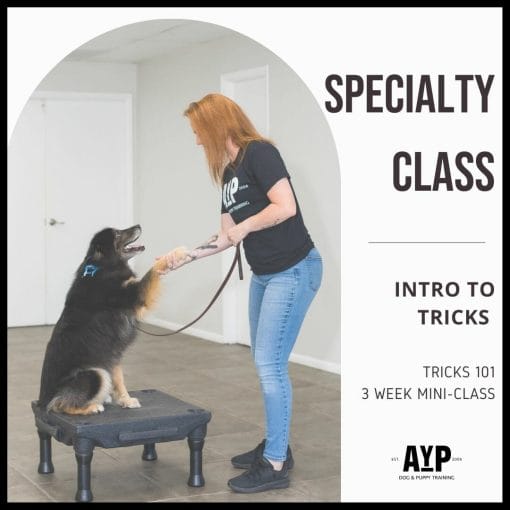 Specialty Group Class Tricks 101