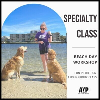 Beach Day Workshop
