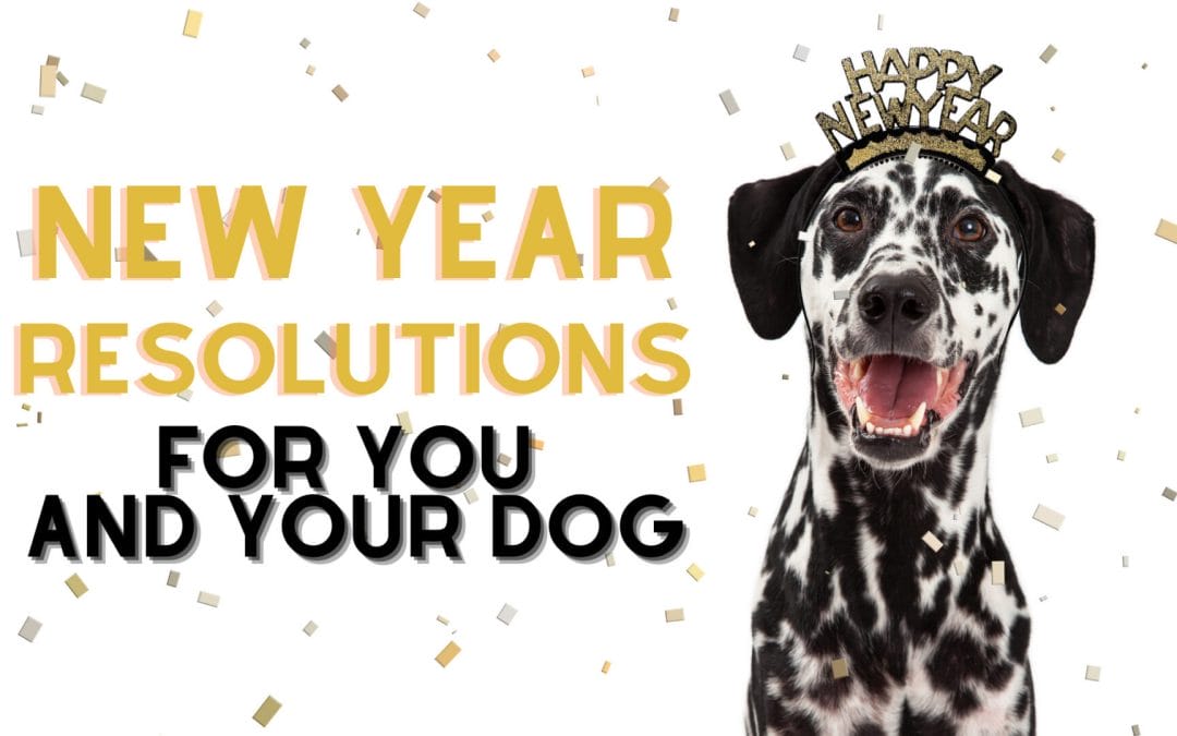 New Year Resolutions for You and Your Dog