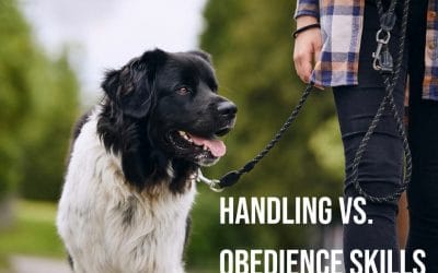 Handling vs. Obedience Training