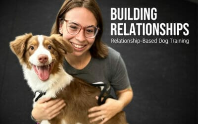 Building Relationships – Relationship Based Dog Training