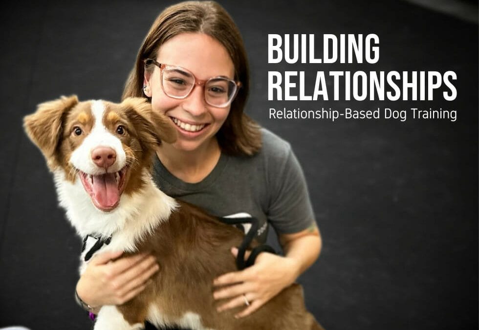 Building relationships with your dog