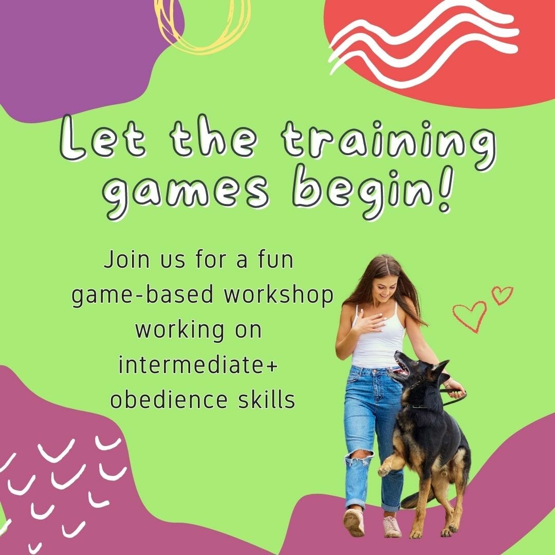 Fun and games for you and your dog in our Training games workshop!