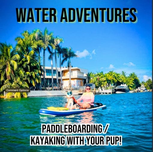 Kayaking and Paddleboarding class with your dog in South Florida