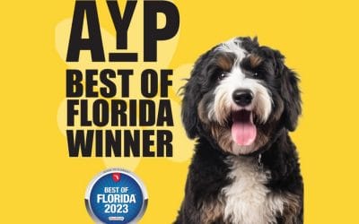 Applause Your Paws wins Best of Florida: Dog Training