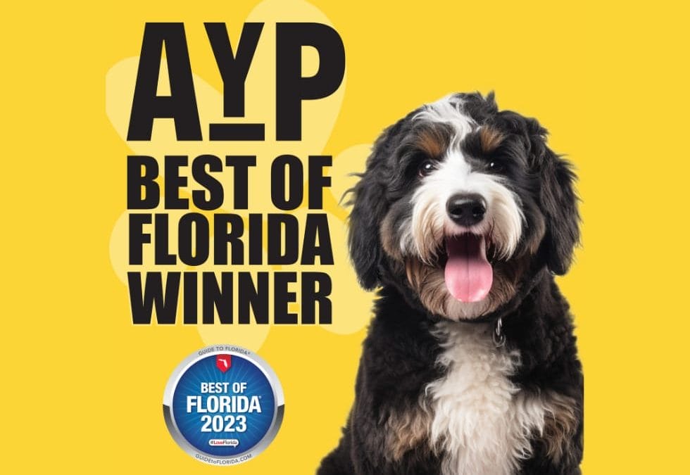 Applause Your Paws wins Best of Florida: Dog Training