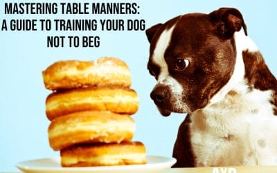 Mastering Table Manners: A Guide to Training Your Dog Not to Beg